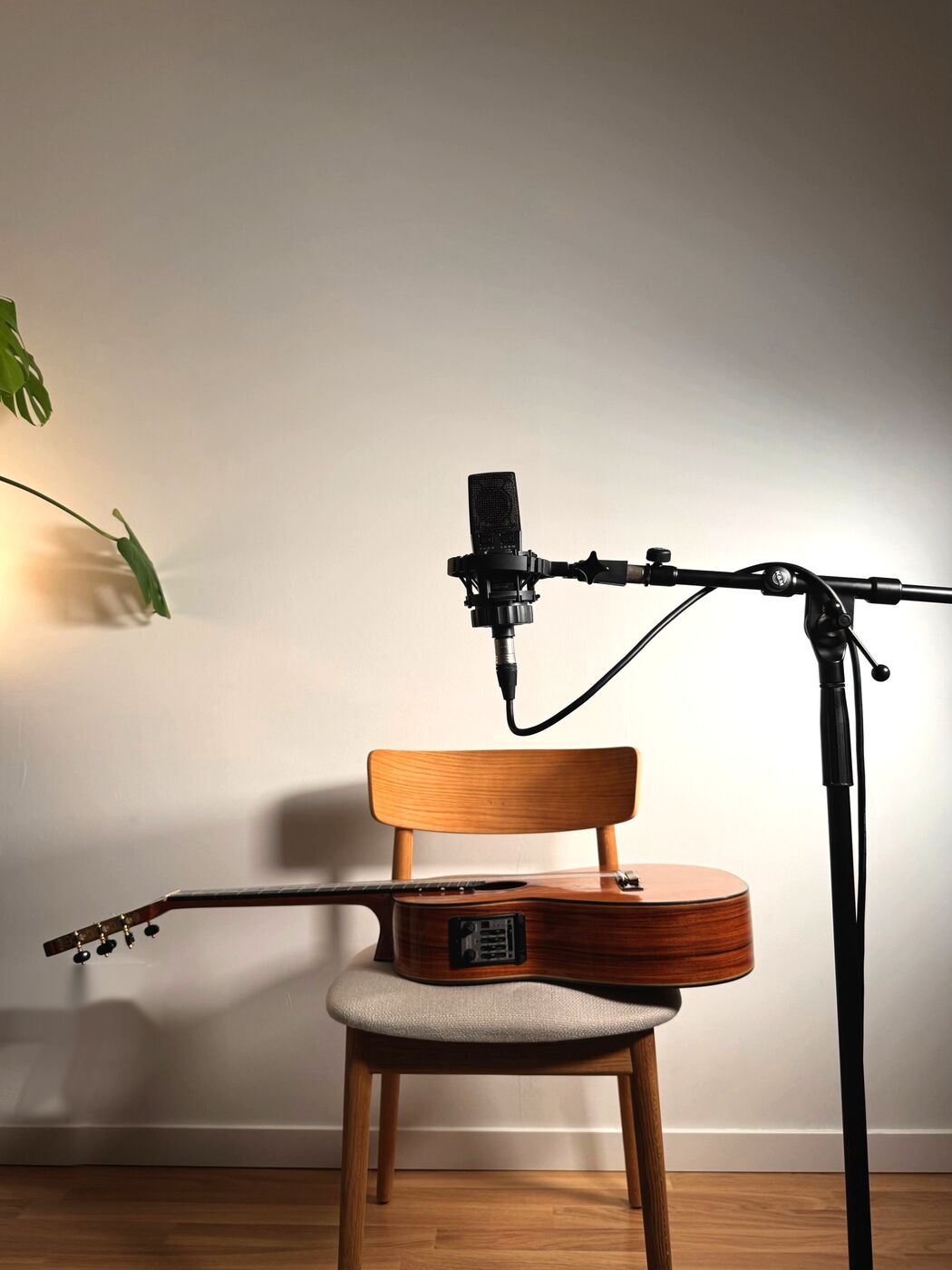 Micrófono de estudio, guitarra sobre una silla de madera y una planta en la sala de clases
